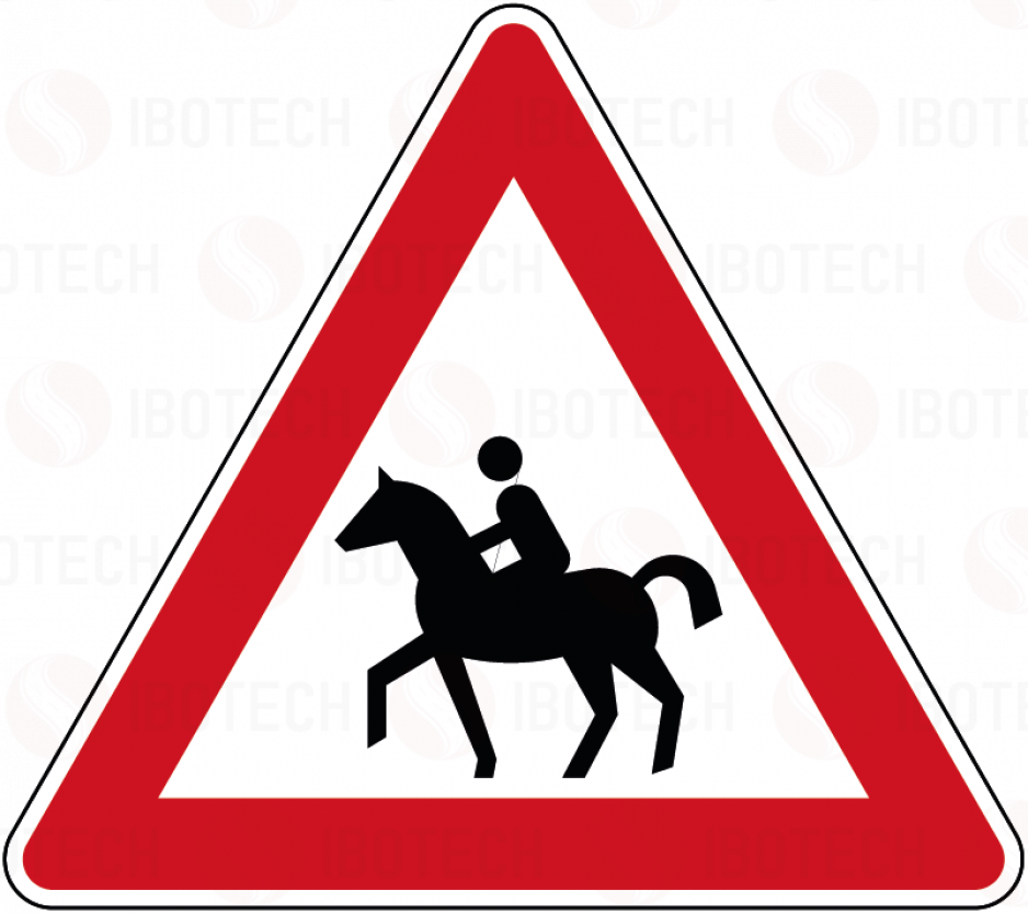 101-13 Reiter, Aufstellung rechts