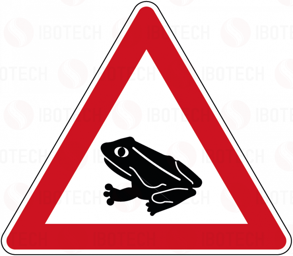 101-14 Amphibienwanderung, Aufstellung rechts