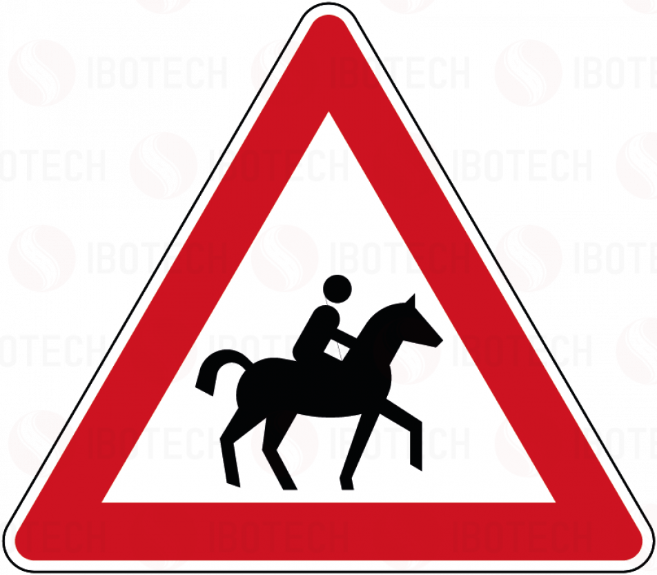 101-23 Reiter, Aufstellung links
