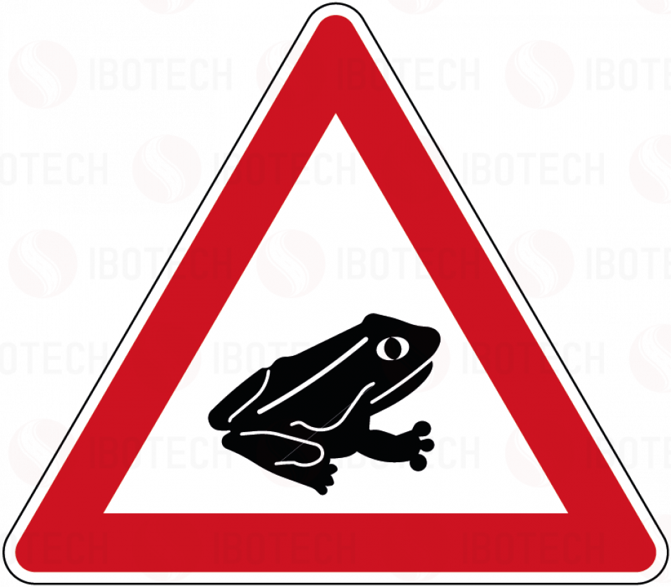 101-24 Amphibienwanderung, Aufstellung links