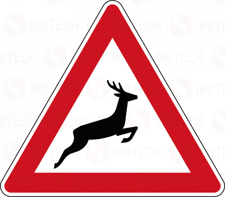142-20 Wildwechsel, Aufstellung links